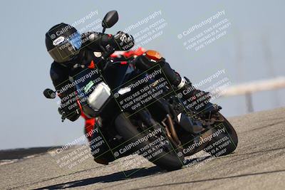 media/Oct-06-2025-2WTD (Mon) [[90522c3a0b]]/B Group/1120am (Grapevine)/